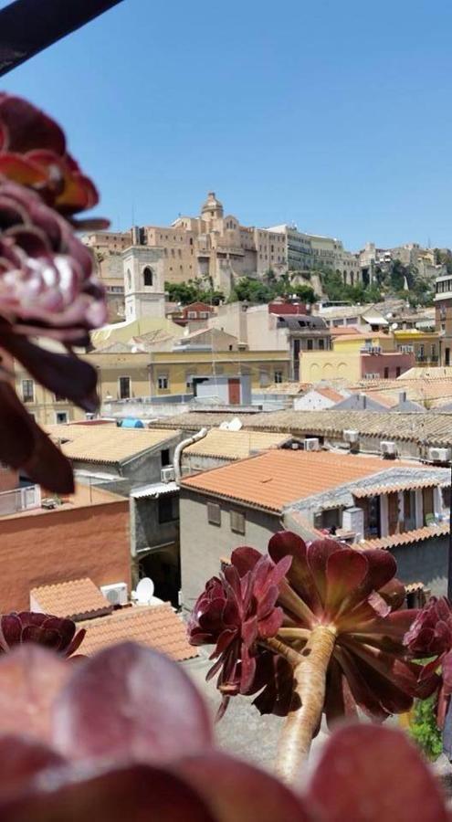 Molly & Luna Bed and breakfast Cagliari